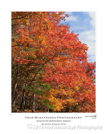 Autumn on Skyline Drive, Virginia